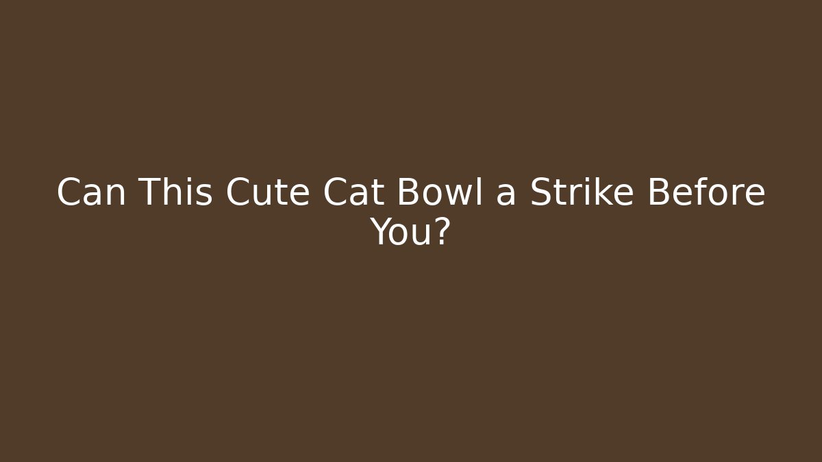 Can This Cute Cat Bowl a Strike Before You?