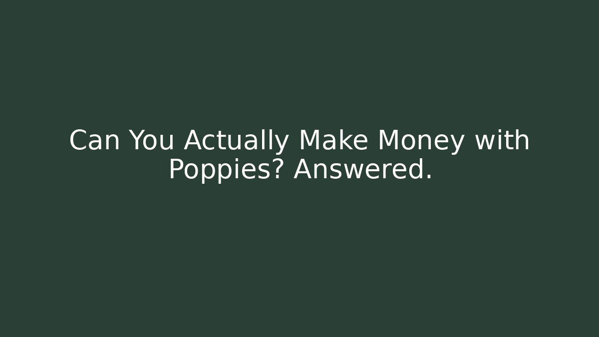 Can You Actually Make Money with Poppies? Answered.
