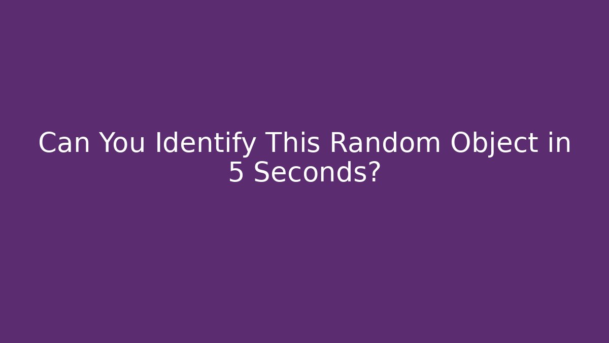 Can You Identify This Random Object in 5 Seconds?