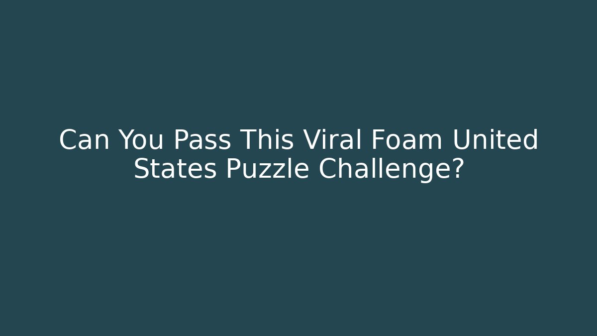 Can You Pass This Viral Foam United States Puzzle Challenge?