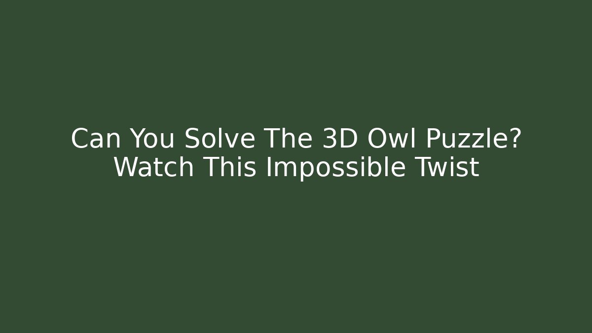 Can You Solve The 3D Owl Puzzle? Watch This Impossible Twist