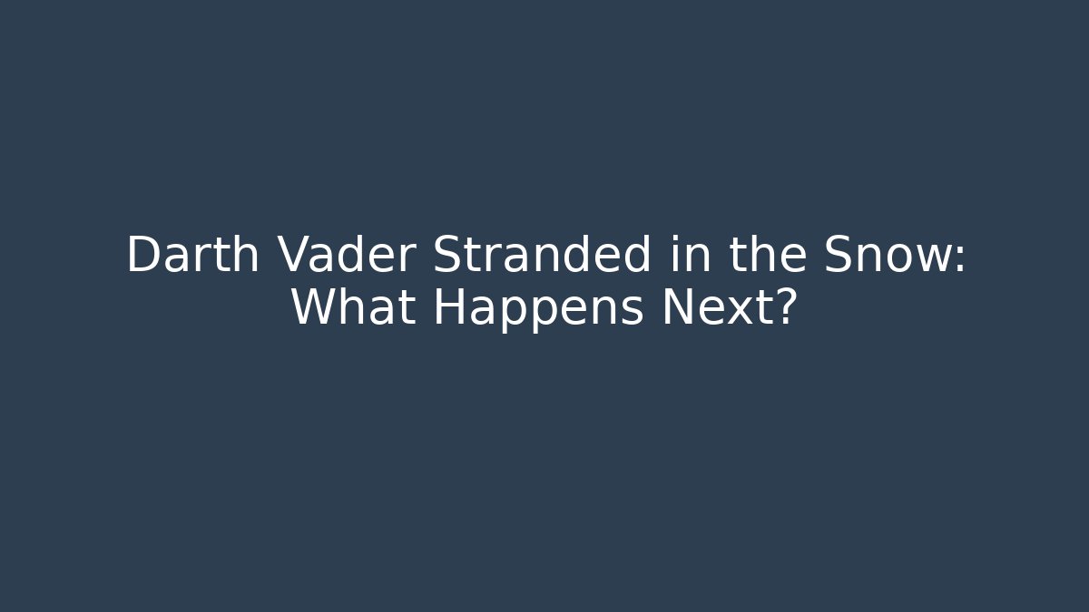 Darth Vader Stranded in the Snow: What Happens Next? - Buddy Program