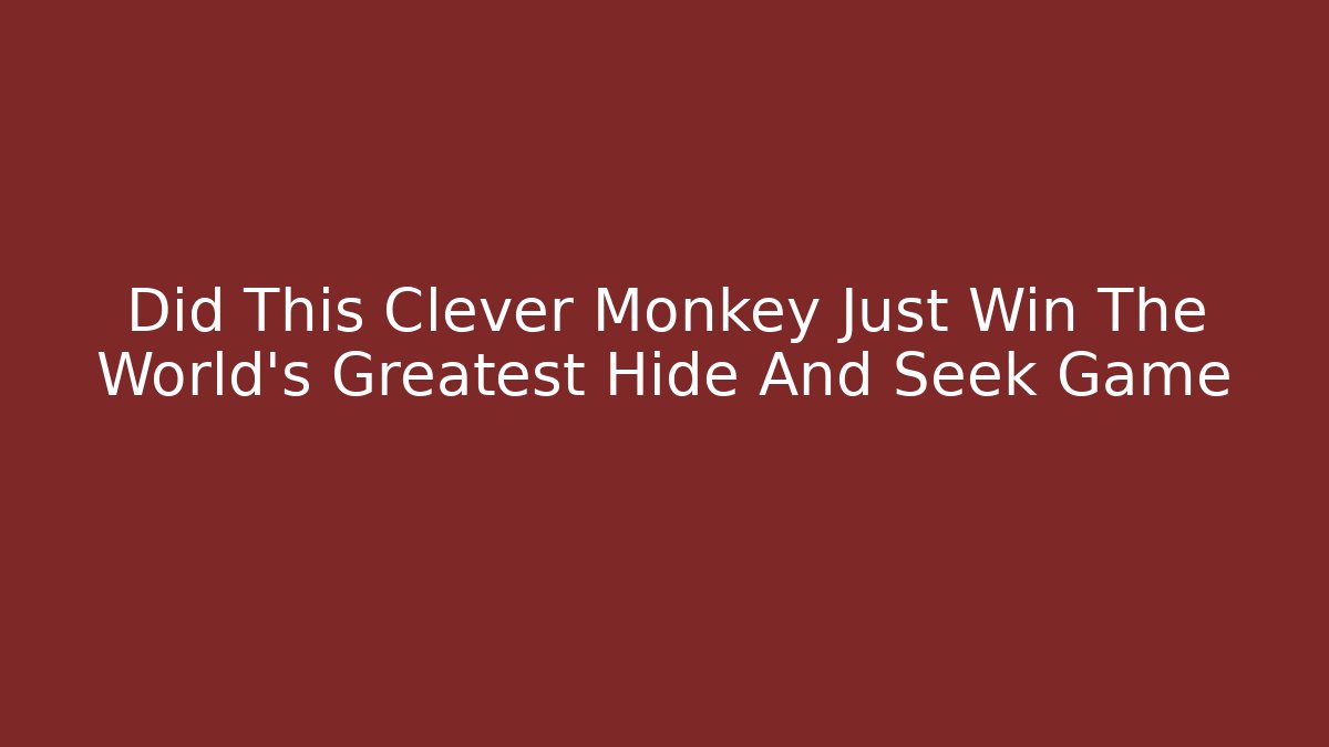 Did This Clever Monkey Just Win The World's Greatest Hide And Seek Game