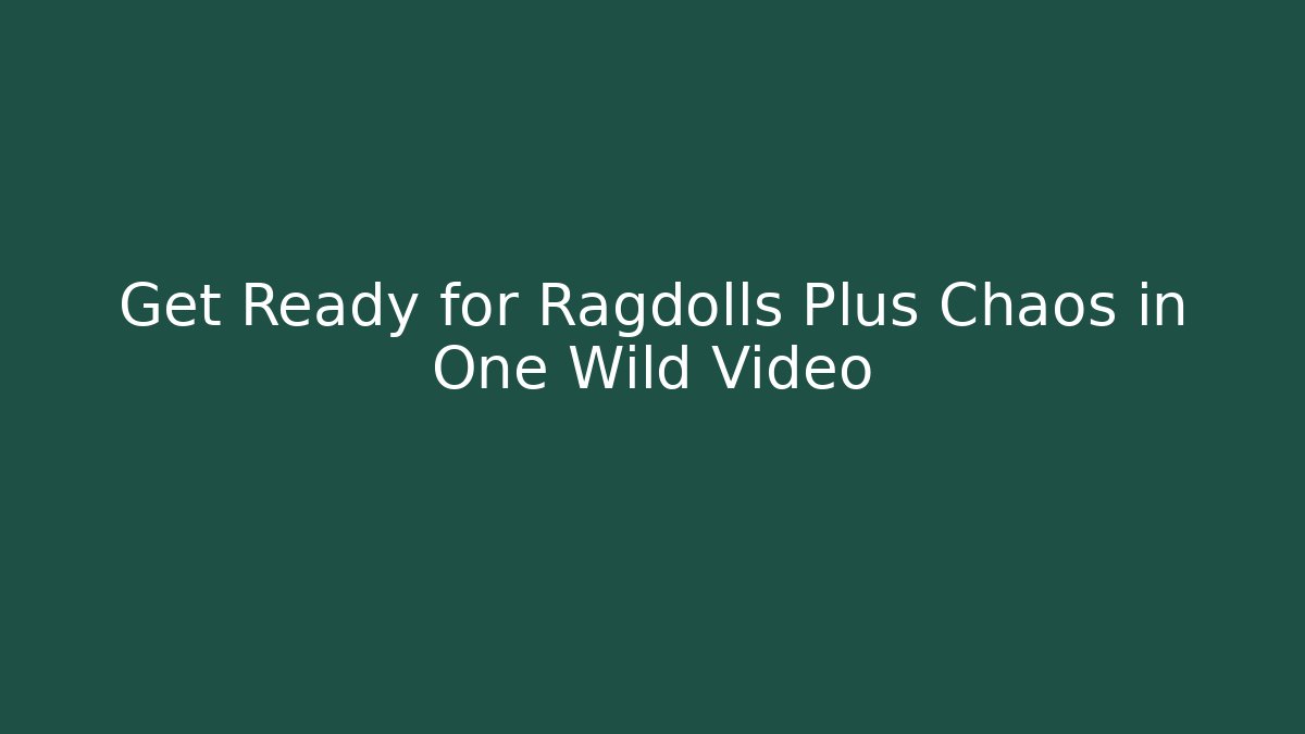 Get Ready for Ragdolls Plus Chaos in One Wild Video
