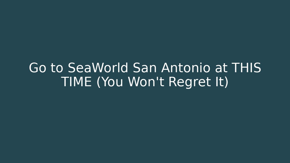 Go to SeaWorld San Antonio at THIS TIME (You Won't Regret It)