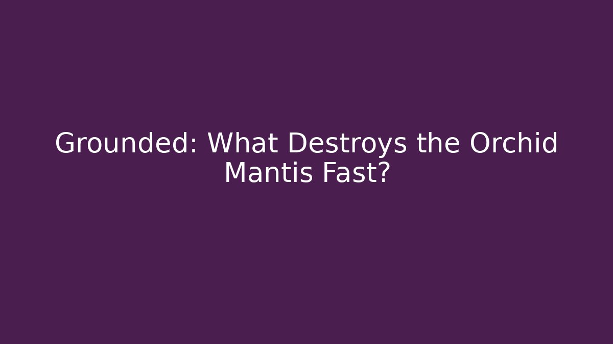 Grounded: What Destroys the Orchid Mantis Fast?
