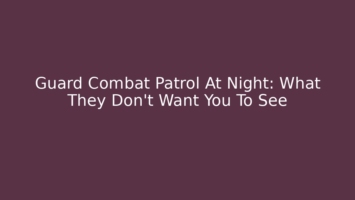 Guard Combat Patrol At Night: What They Don't Want You To See