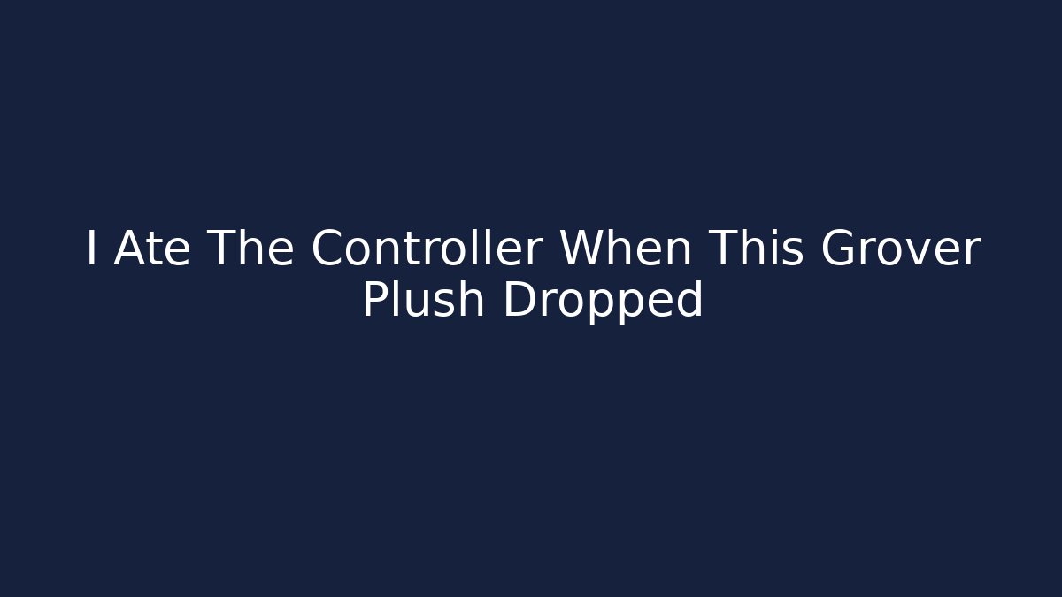 I Ate The Controller When This Grover Plush Dropped - Buddy Program
