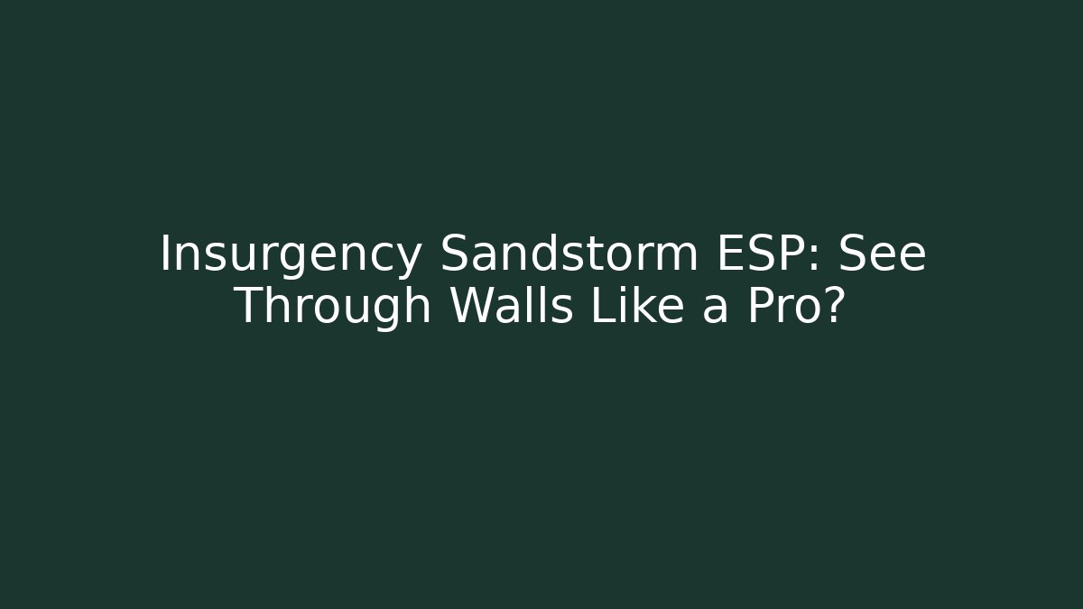Insurgency Sandstorm ESP: See Through Walls Like a Pro?