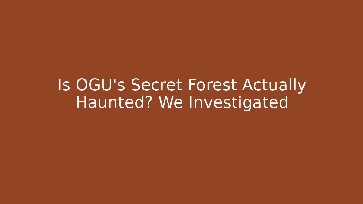 Is OGU's Secret Forest Actually Haunted? We Investigated