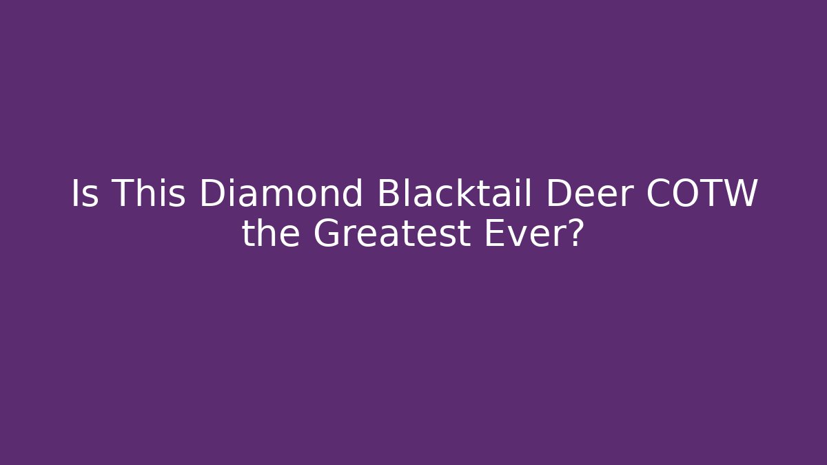 Is This Diamond Blacktail Deer COTW the Greatest Ever? - Buddy Program
