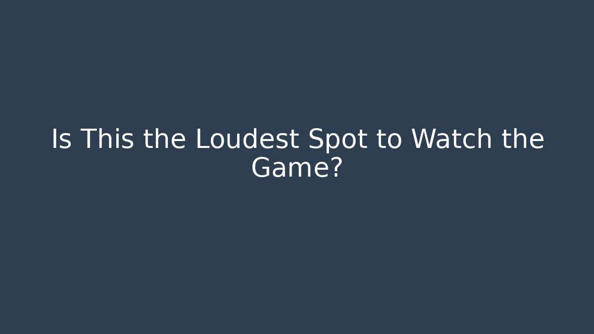 Is This the Loudest Spot to Watch the Game? - Buddy Program