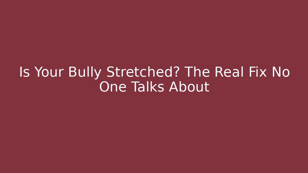 Is Your Bully Stretched? The Real Fix No One Talks About - Buddy Program