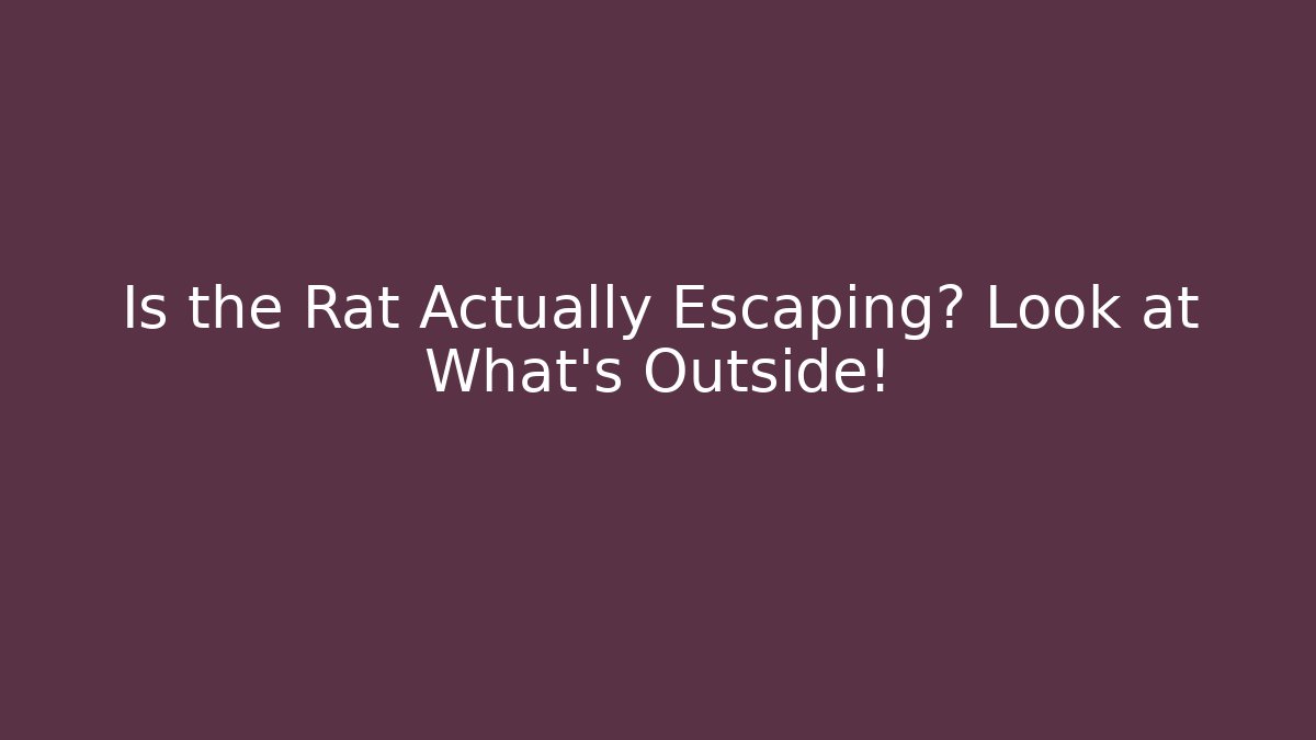 Is the Rat Actually Escaping? Look at What's Outside!