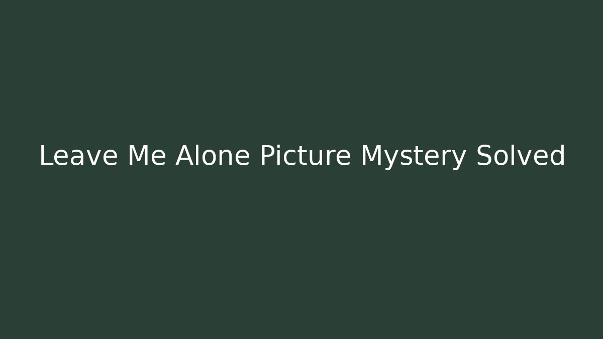 Leave Me Alone Picture Mystery Solved - Buddy Program