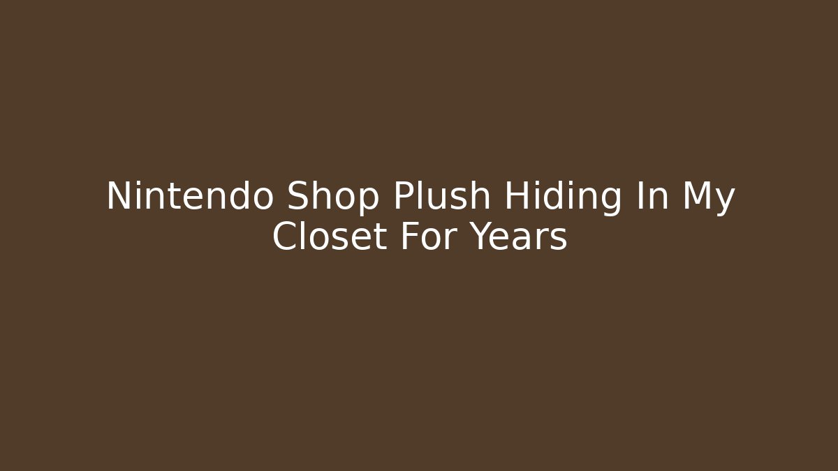 Nintendo Shop Plush Hiding In My Closet For Years