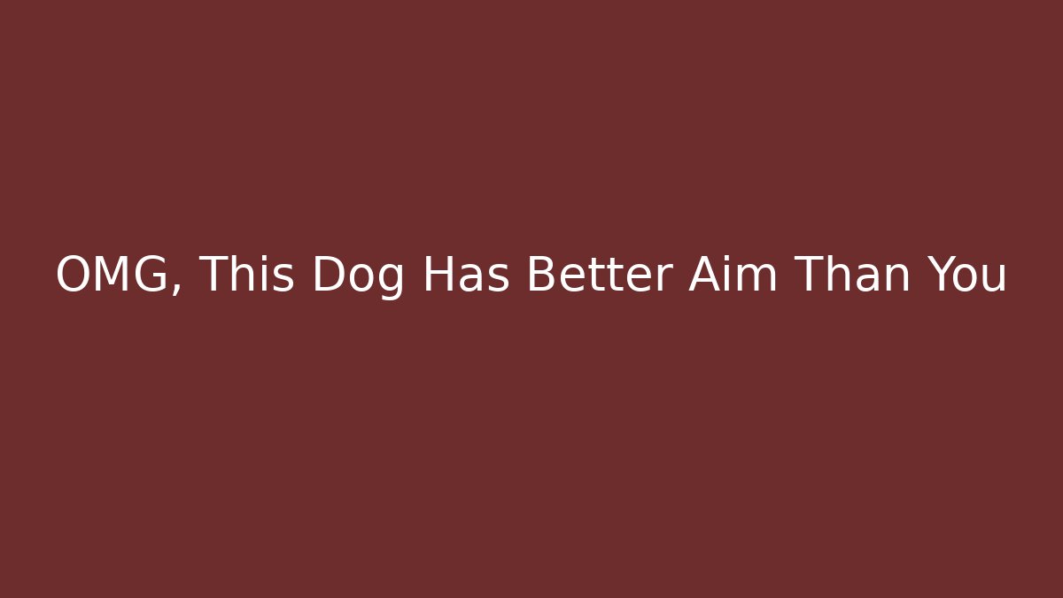 OMG, This Dog Has Better Aim Than You