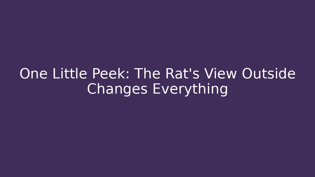 One Little Peek: The Rat's View Outside Changes Everything