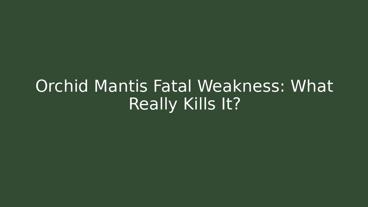 Orchid Mantis Fatal Weakness: What Really Kills It?