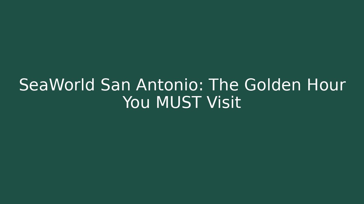 SeaWorld San Antonio: The Golden Hour You MUST Visit