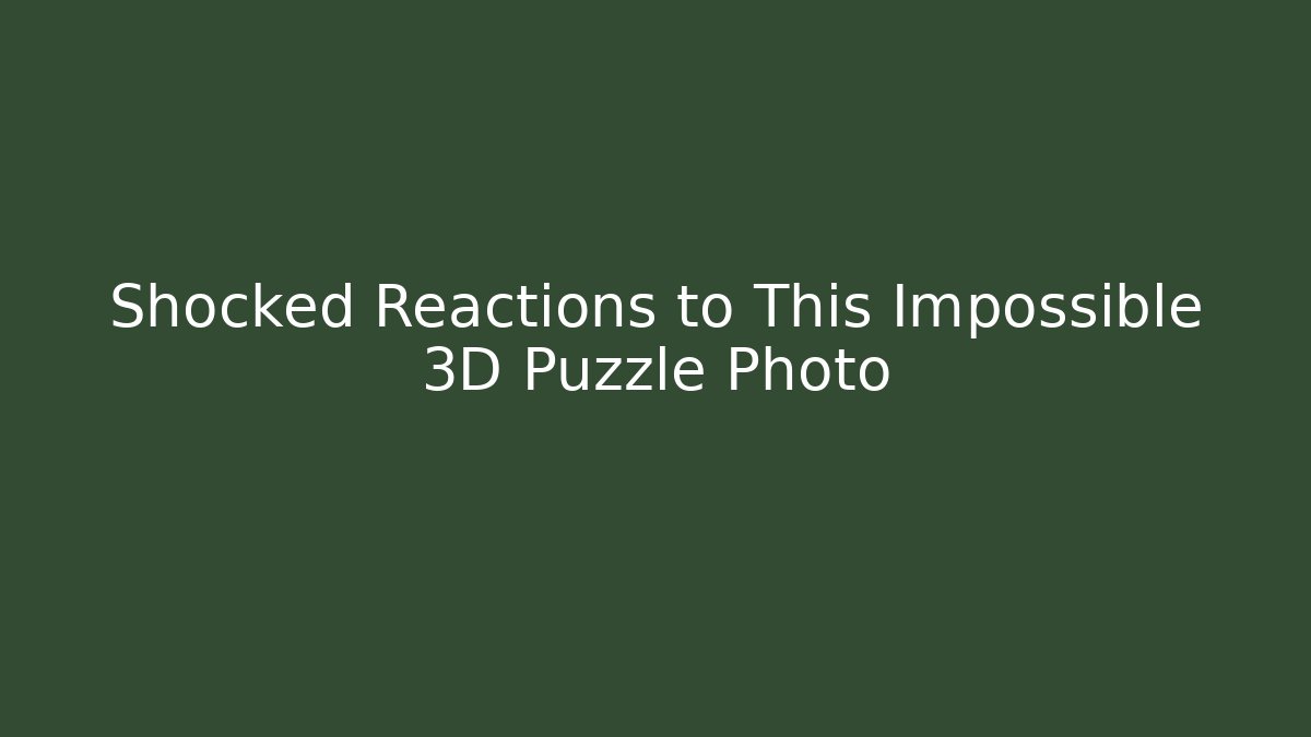 Shocked Reactions to This Impossible 3D Puzzle Photo