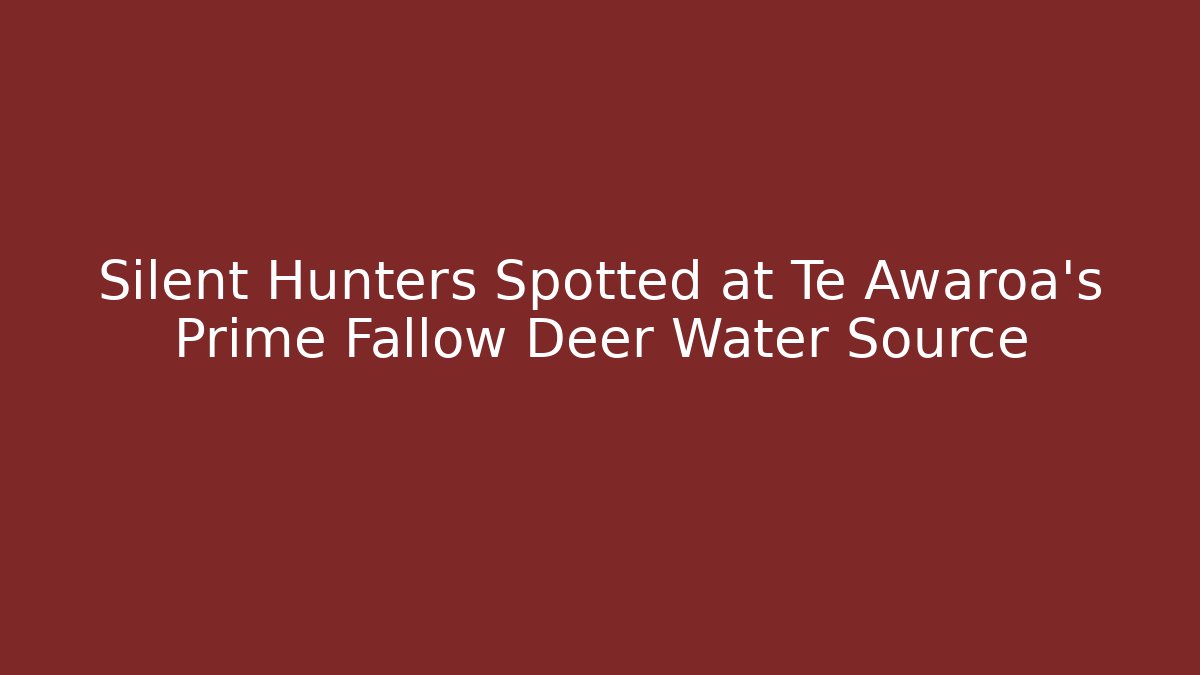 Silent Hunters Spotted at Te Awaroa's Prime Fallow Deer Water Source