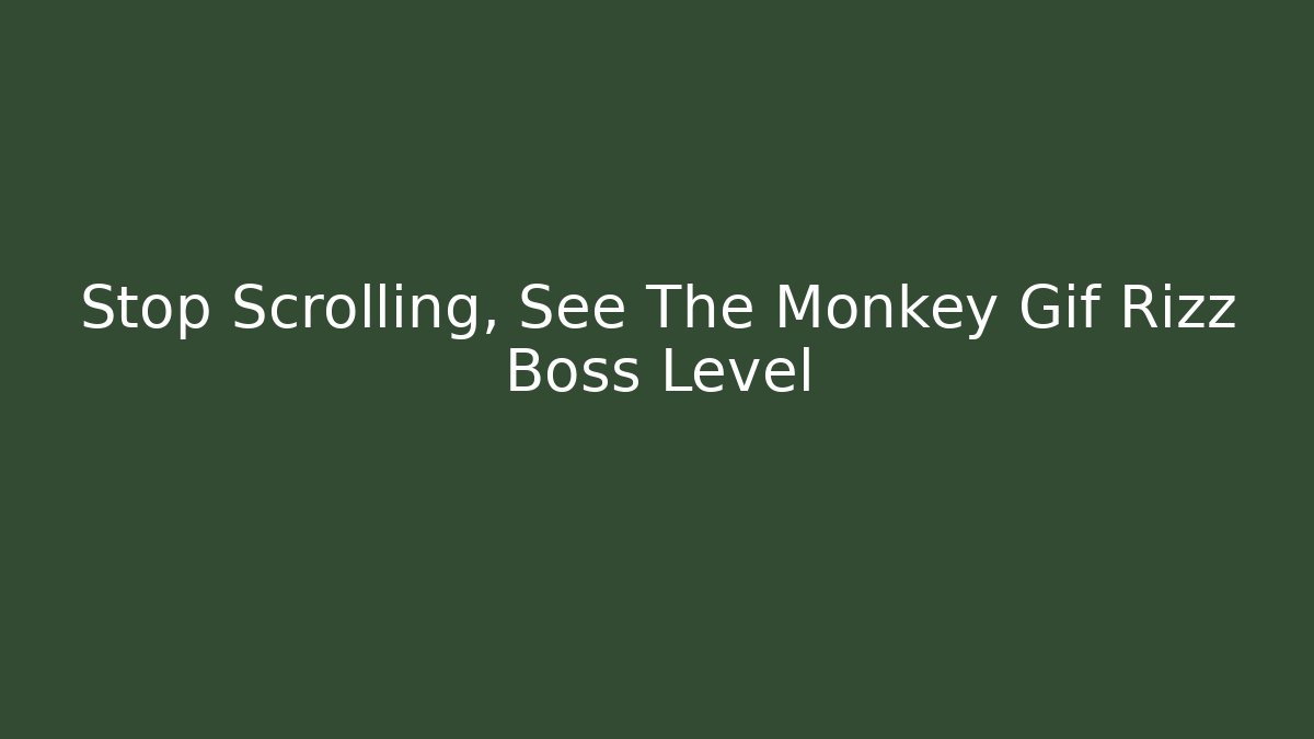 Stop Scrolling, See The Monkey Gif Rizz Boss Level