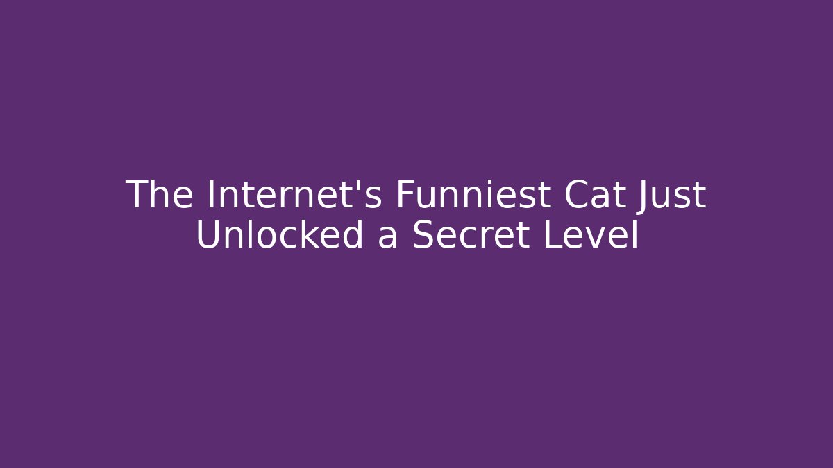 The Internet’s Funniest Cat Just Unlocked a Secret Level - Buddy Program