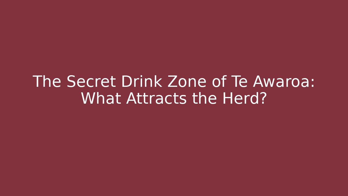The Secret Drink Zone of Te Awaroa: What Attracts the Herd?