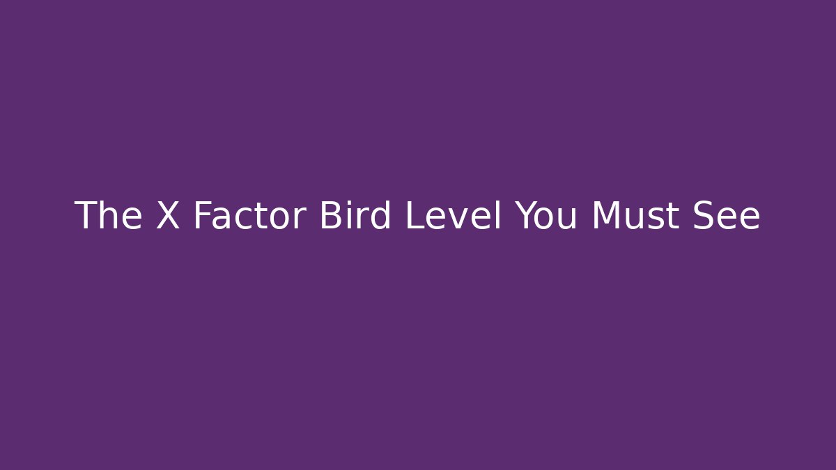The X Factor Bird Level You Must See
