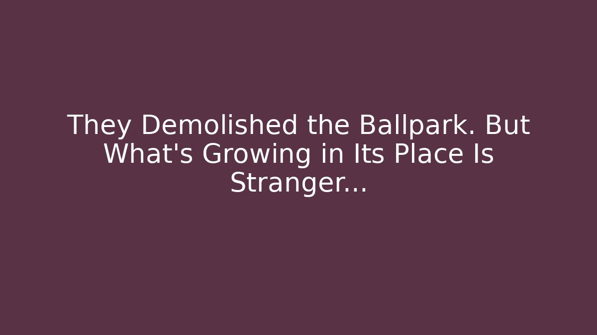 They Demolished the Ballpark. But What’s Growing in Its Place Is Stranger…
