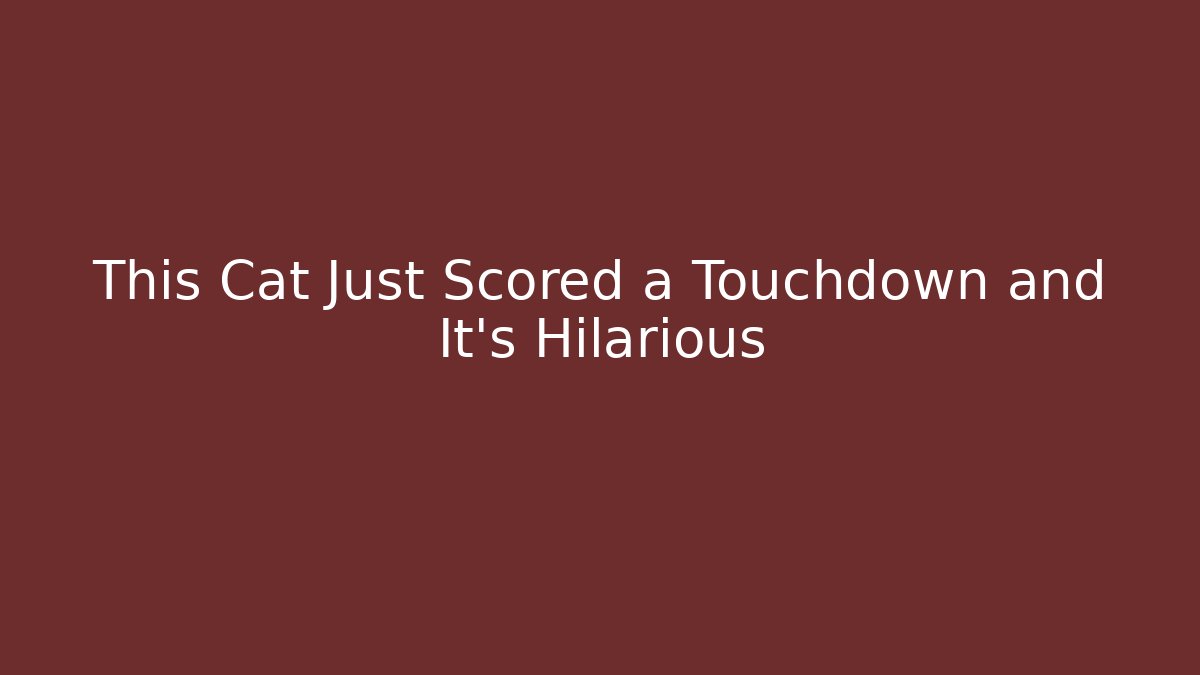 This Cat Just Scored a Touchdown and It’s Hilarious