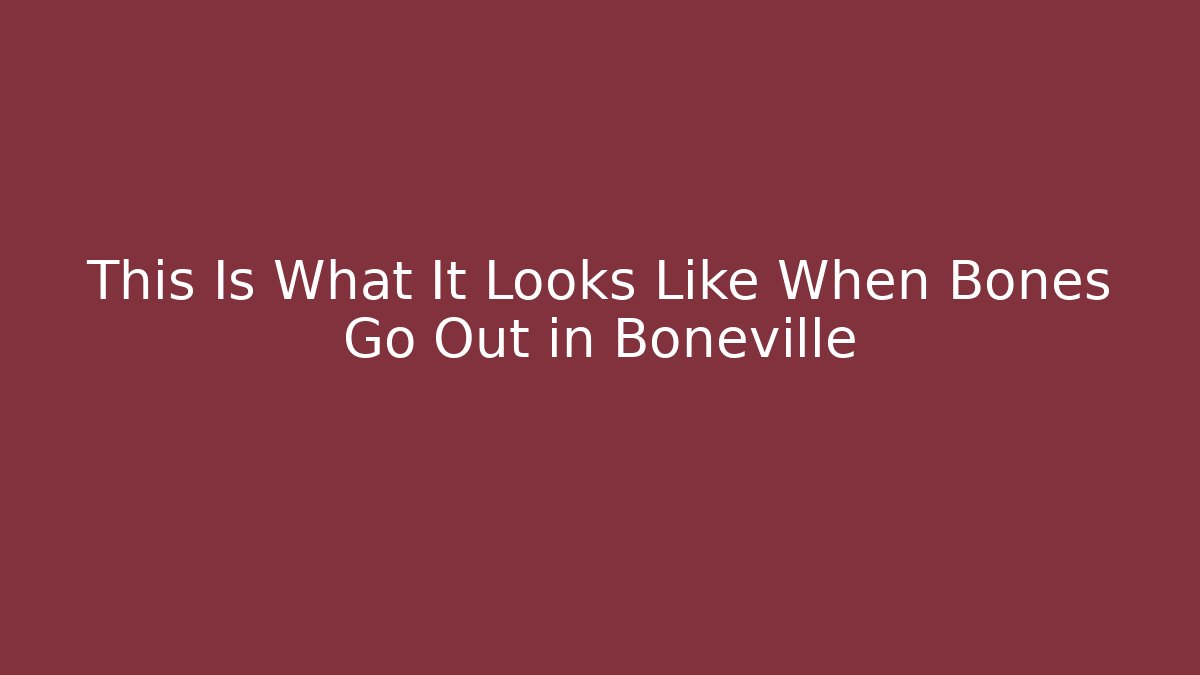 This Is What It Looks Like When Bones Go Out in Boneville
