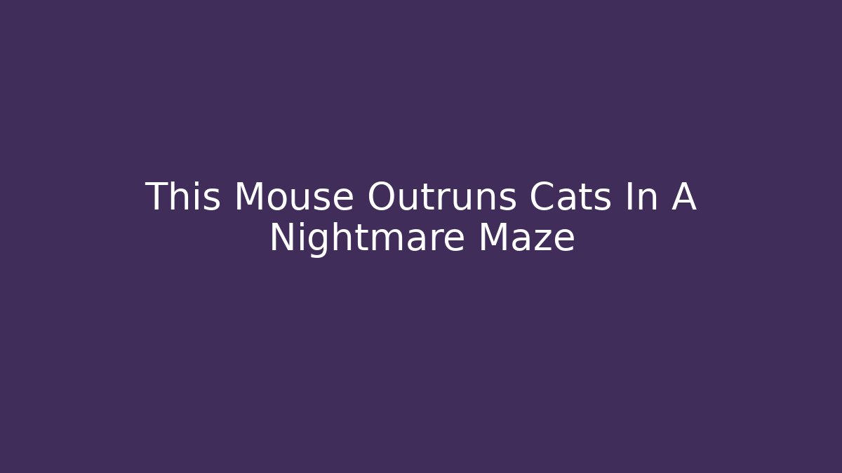 This Mouse Outruns Cats In A Nightmare Maze