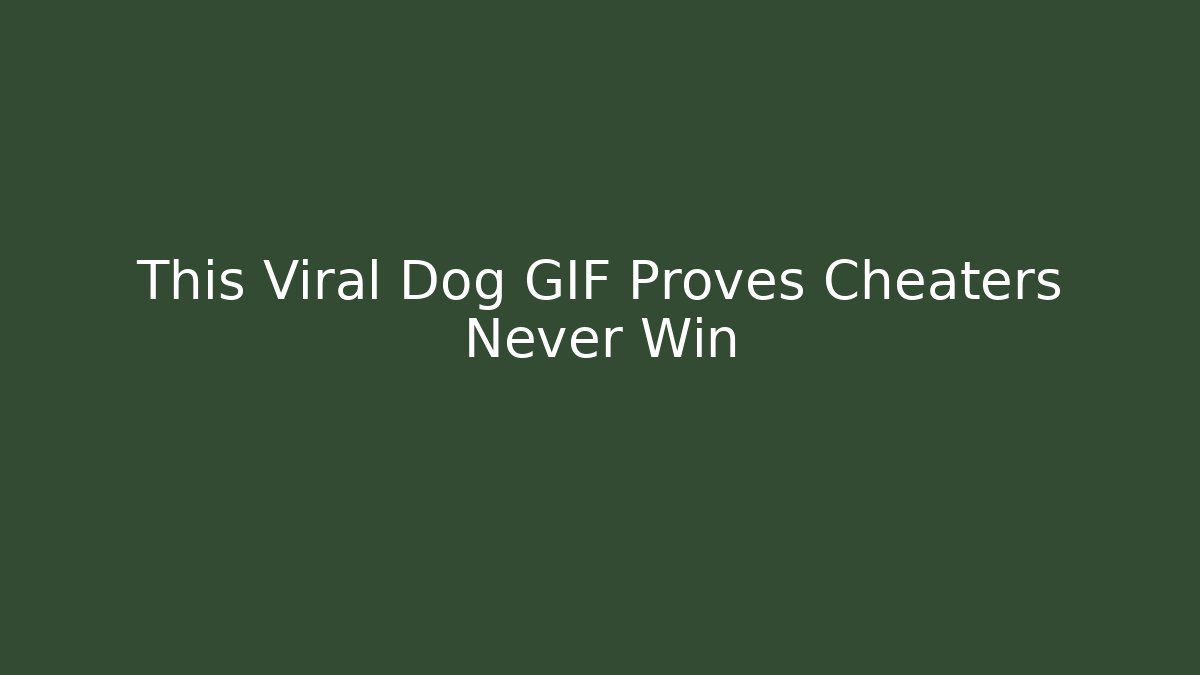 This Viral Dog GIF Proves Cheaters Never Win