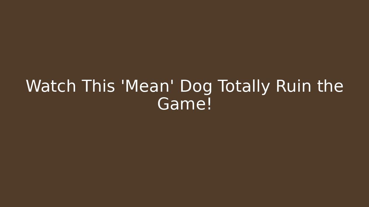 Watch This 'Mean' Dog Totally Ruin the Game!