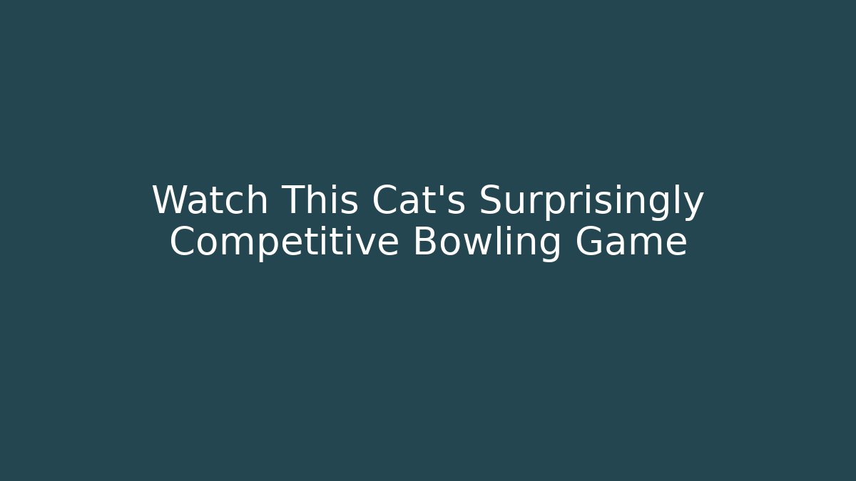 Watch This Cat’s Surprisingly Competitive Bowling Game