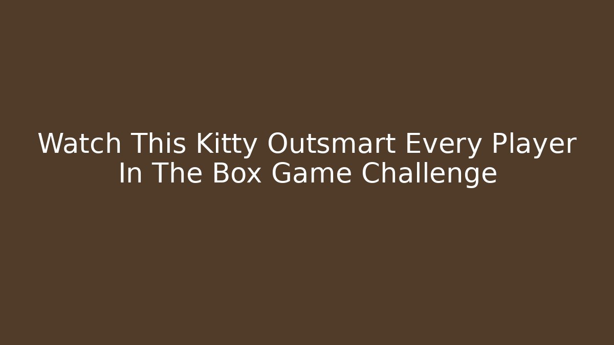 Watch This Kitty Outsmart Every Player In The Box Game Challenge
