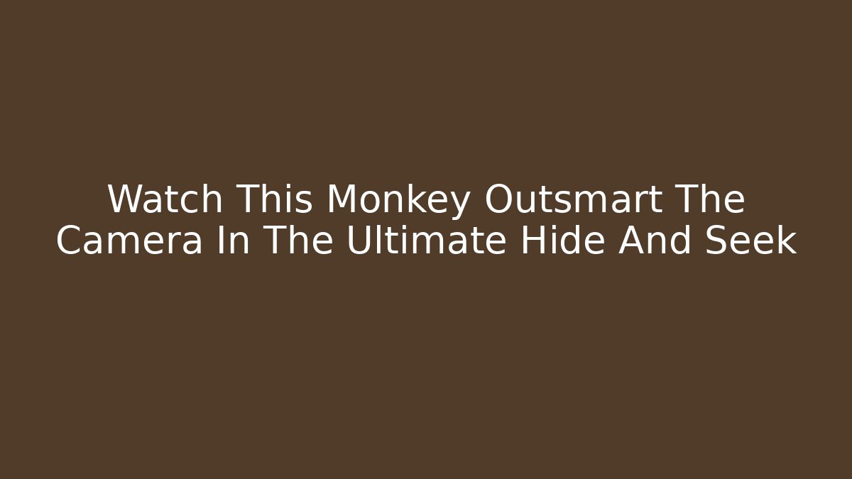 Watch This Monkey Outsmart The Camera In The Ultimate Hide And Seek