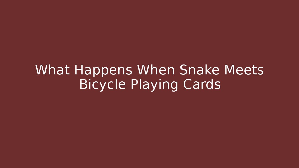 What Happens When Snake Meets Bicycle Playing Cards - Buddy Program