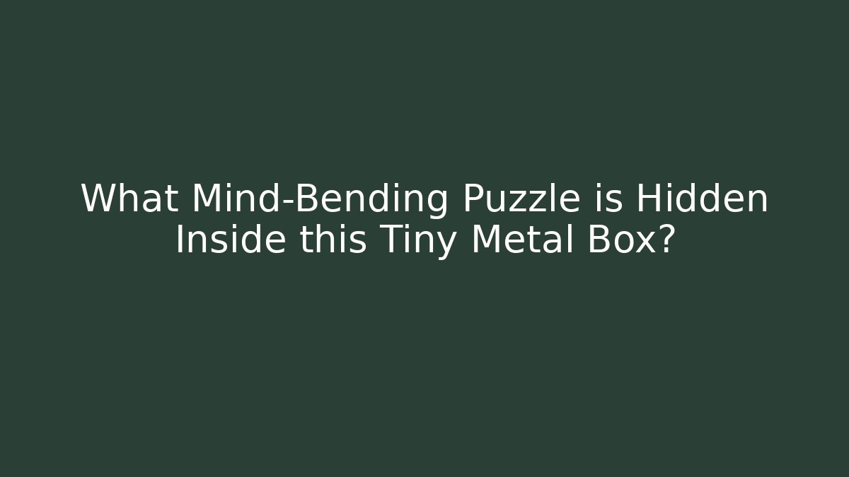 What Mind-Bending Puzzle is Hidden Inside this Tiny Metal Box? - Buddy Program
