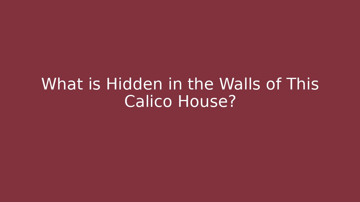 What is Hidden in the Walls of This Calico House?