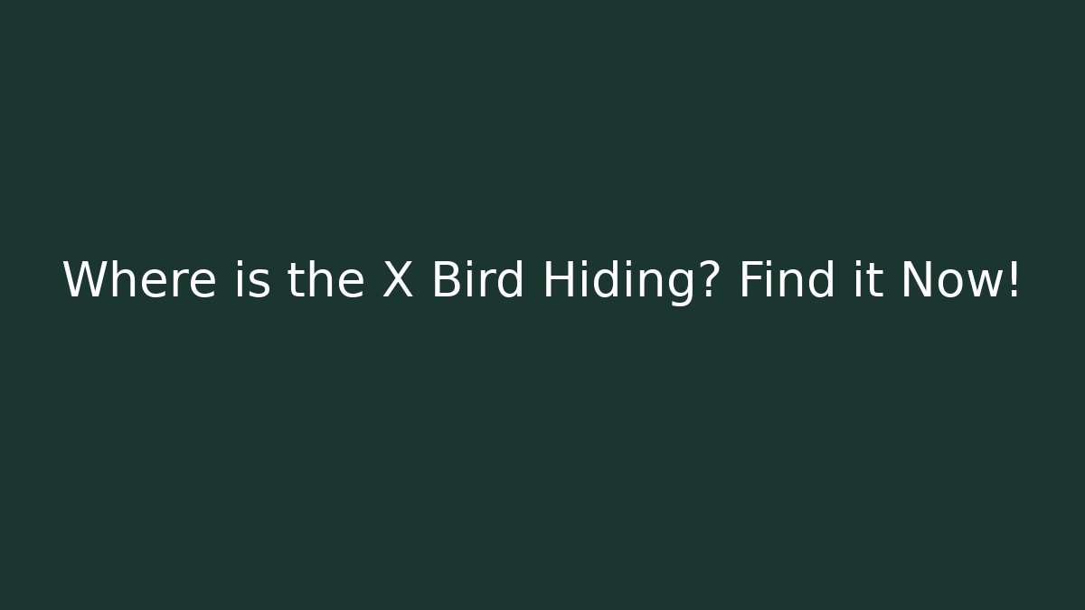 Where is the X Bird Hiding? Find it Now!
