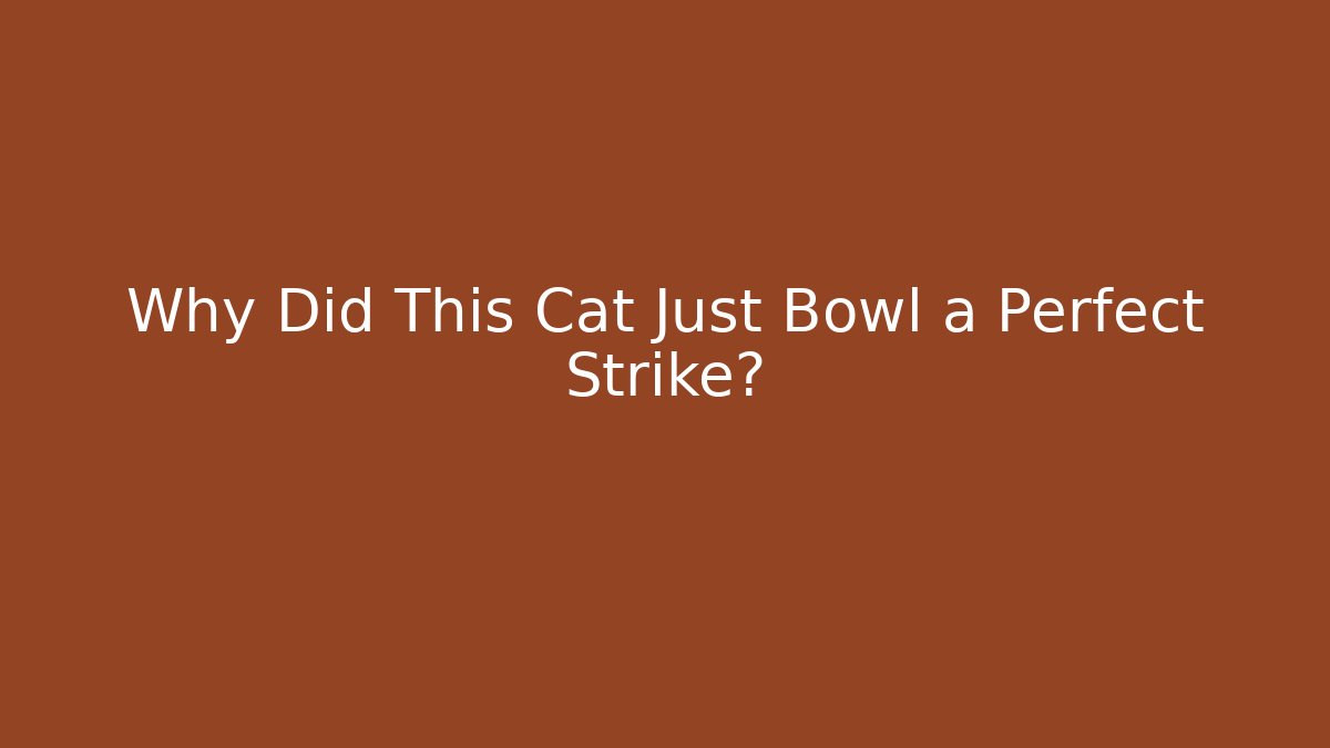 Why Did This Cat Just Bowl a Perfect Strike?
