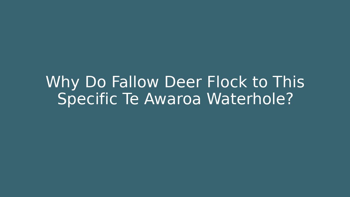 Why Do Fallow Deer Flock to This Specific Te Awaroa Waterhole?