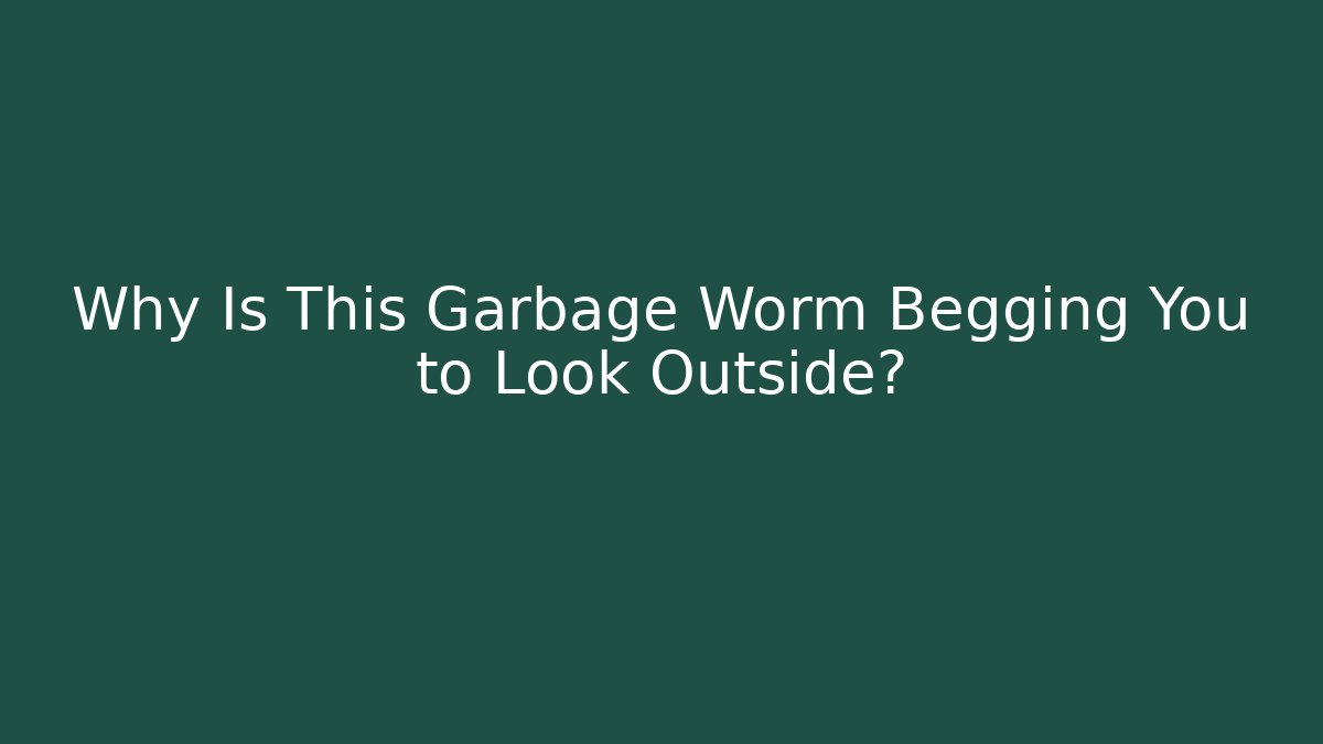 Why Is This Garbage Worm Begging You to Look Outside? - Buddy Program