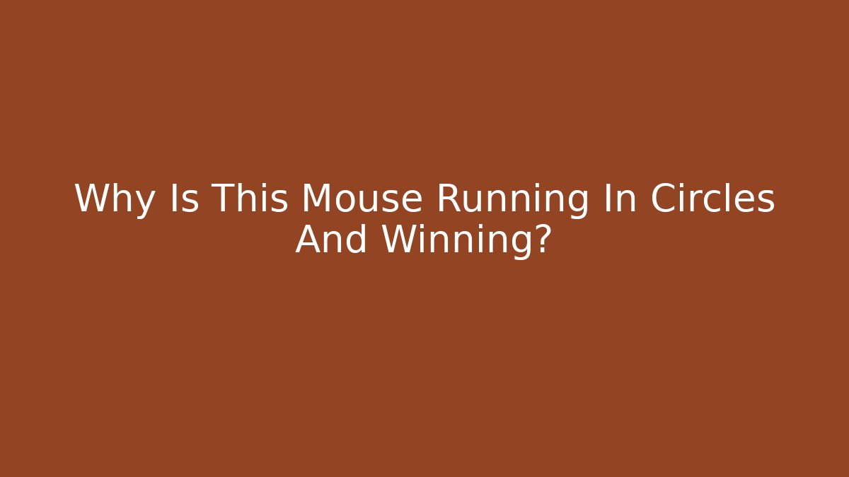 Why Is This Mouse Running In Circles And Winning?
