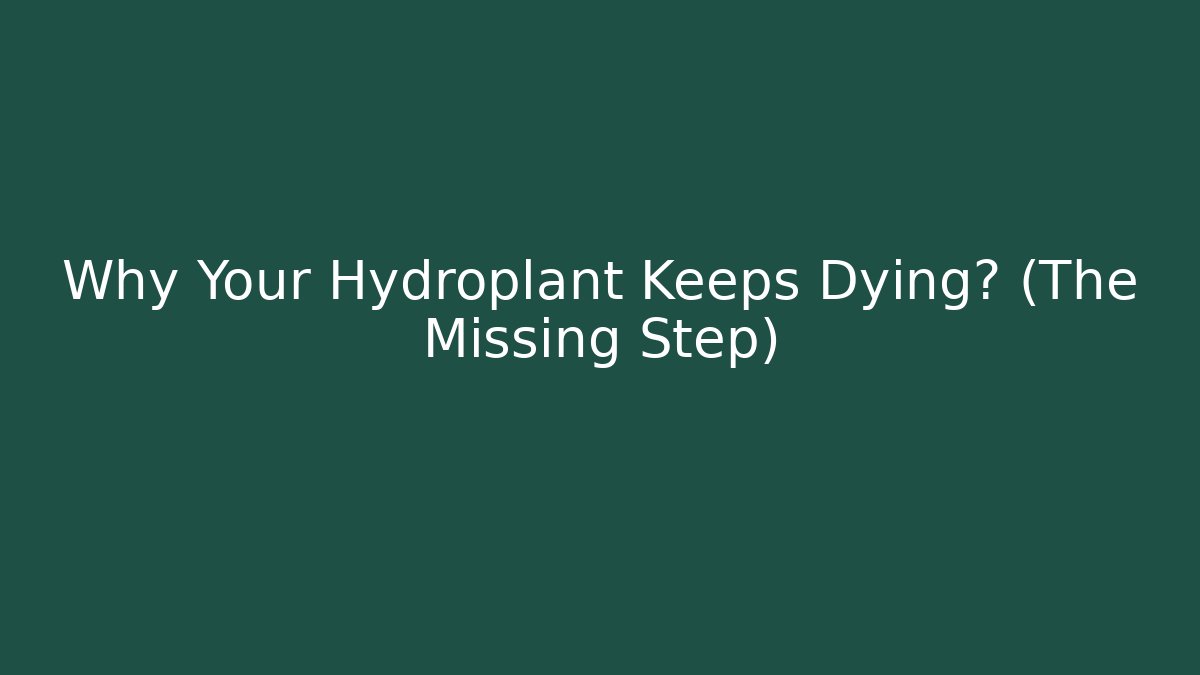 Why Your Hydroplant Keeps Dying? (The Missing Step)