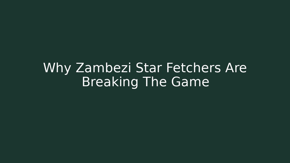 Why Zambezi Star Fetchers Are Breaking The Game