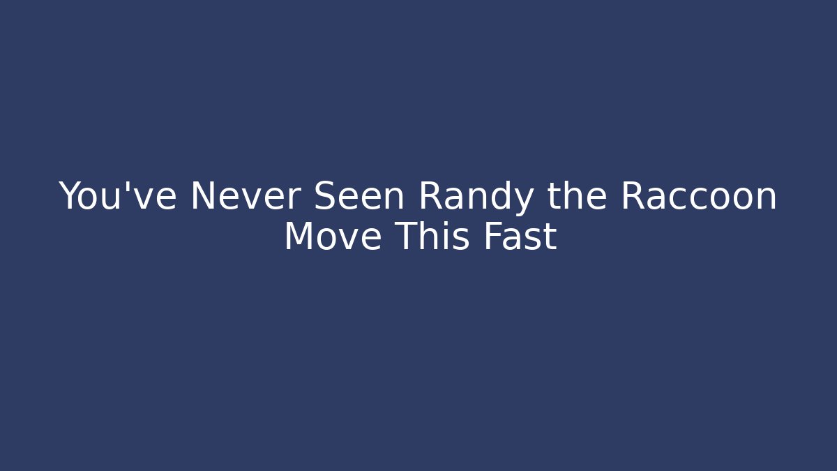 You've Never Seen Randy the Raccoon Move This Fast - Buddy Program